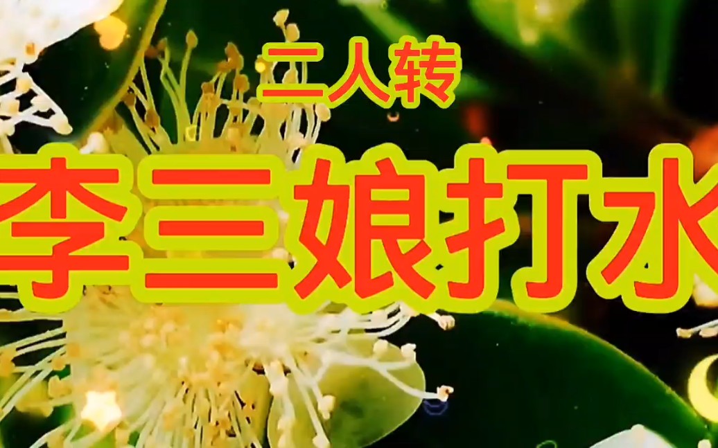 好听的东北二人转