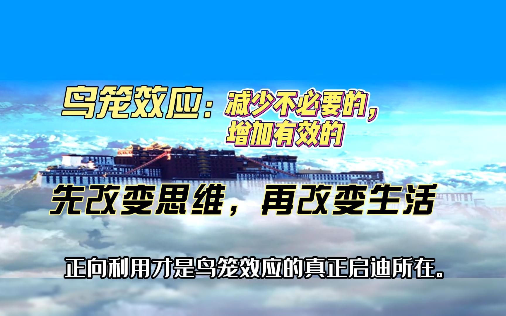 正向利用才是鸟笼效应的真正启迪所在.哔哩哔哩bilibili