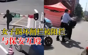 Download Video: 女子踢坏闸栏被阻拦与保安互殴，物业：警方已介入，正在调查中