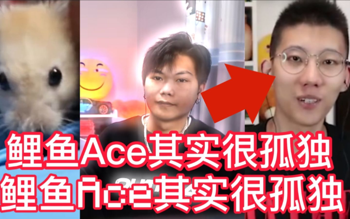 “悬弱一响,鲤鱼ACE正式登场”——鲤鱼Ace哔哩哔哩bilibili