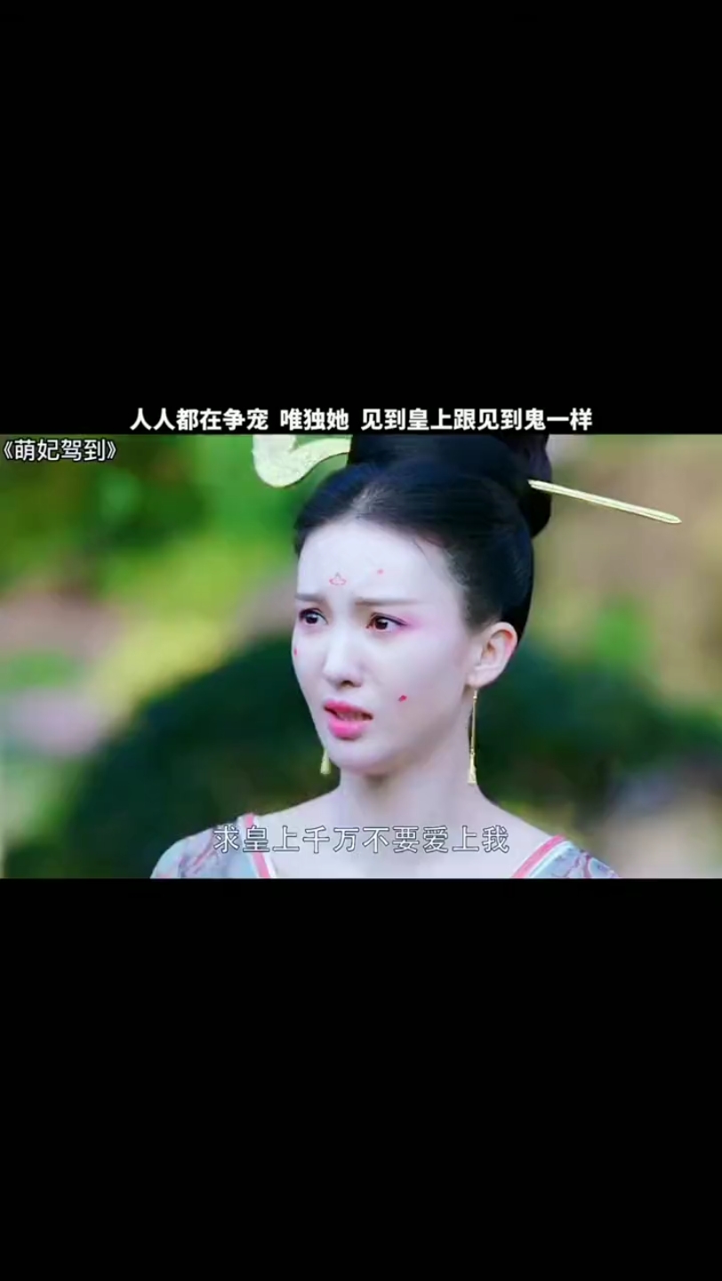 萌妃驾到#金晨#哔哩哔哩bilibili