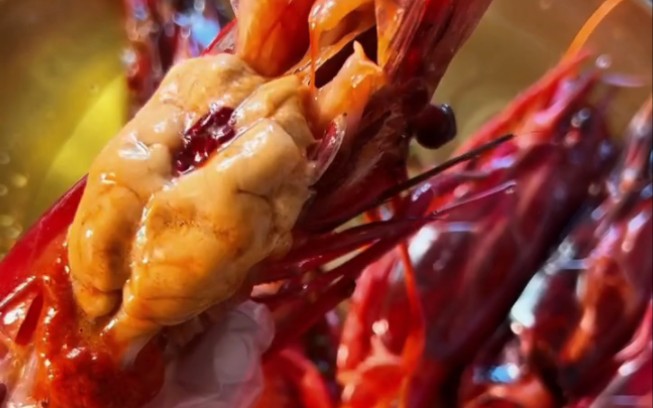 红魔虾,吸虾脑
