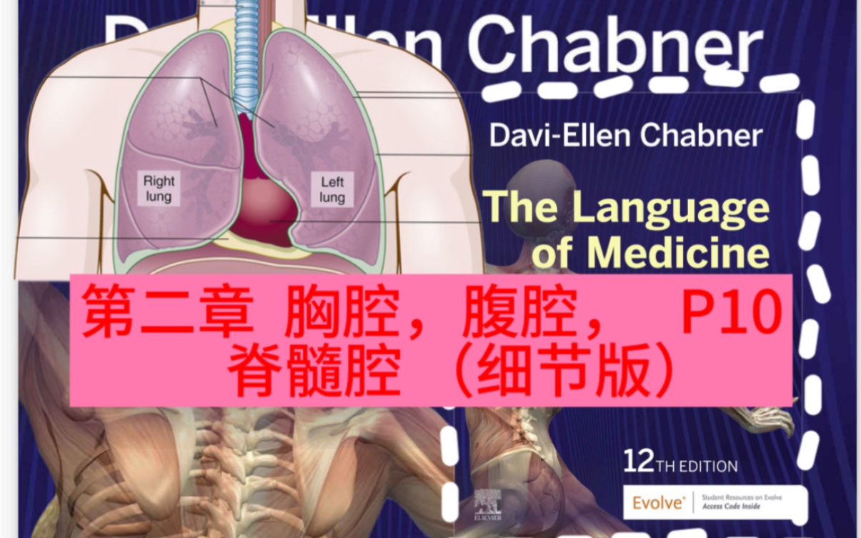 大家考研考的如何?来准备考研复试专业英语吧!chapter2: thoracic peritoneal spinal cavity (more details哔哩哔哩bilibili