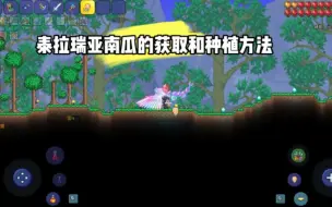 Download Video: 泰拉瑞亚南瓜的获取和种植方法