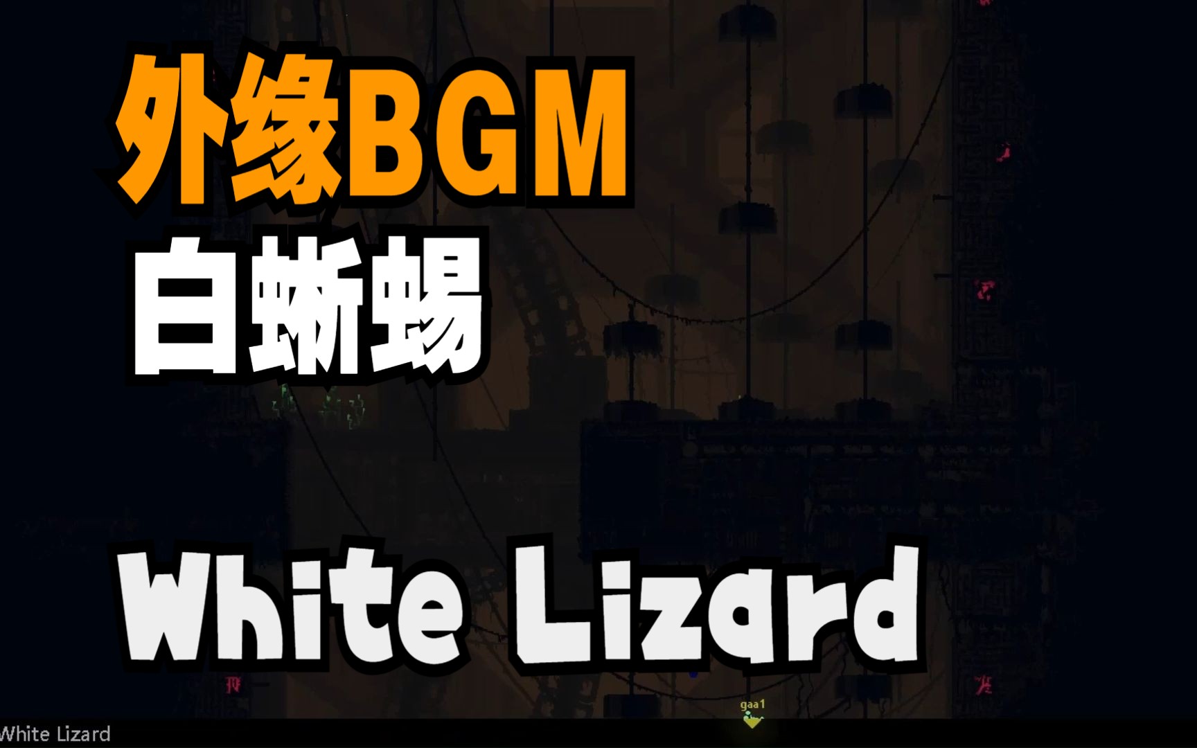 外缘白蜥蜴(White Lizard)