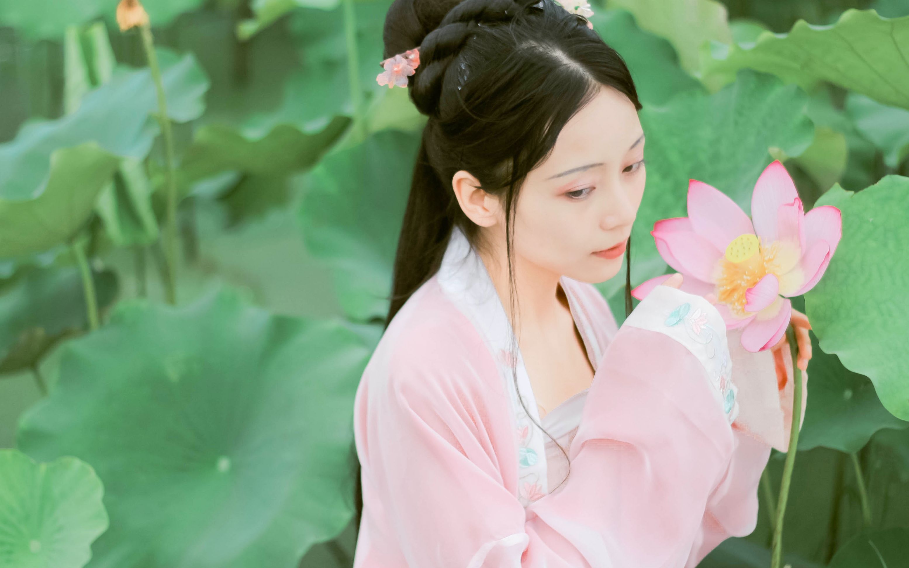 无穷碧系列荷花荷叶汉服古风摄影摄像