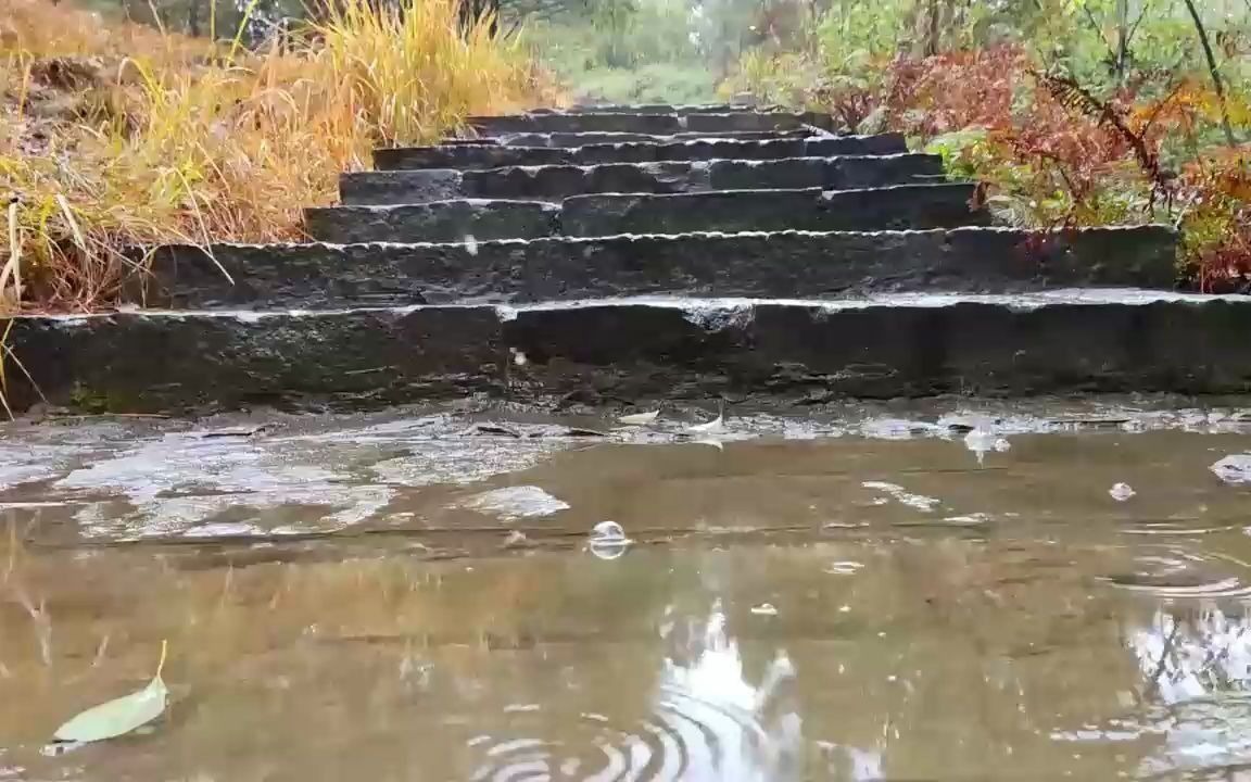 [图]怀旧金曲《小雨滴》原唱王莹玲