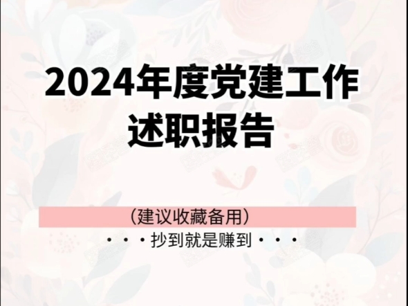 2024年度党建工作述职报告哔哩哔哩bilibili