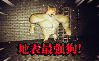 肌肉 狗狗 搜索结果 哔哩哔哩 Bilibili