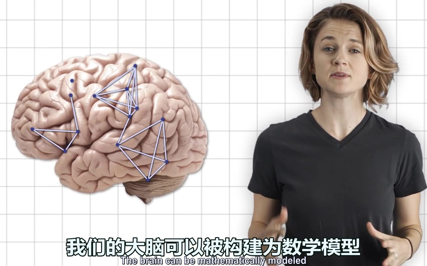 [图]大脑与数学第三部：从数学模型分析对重构大脑的刺激