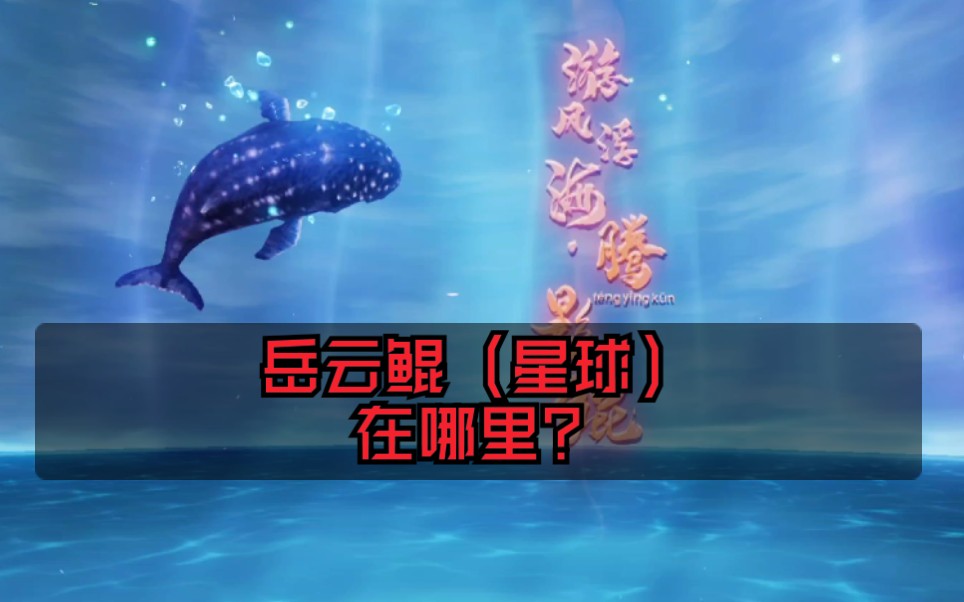 妄想山海岳云鲲星球在哪里