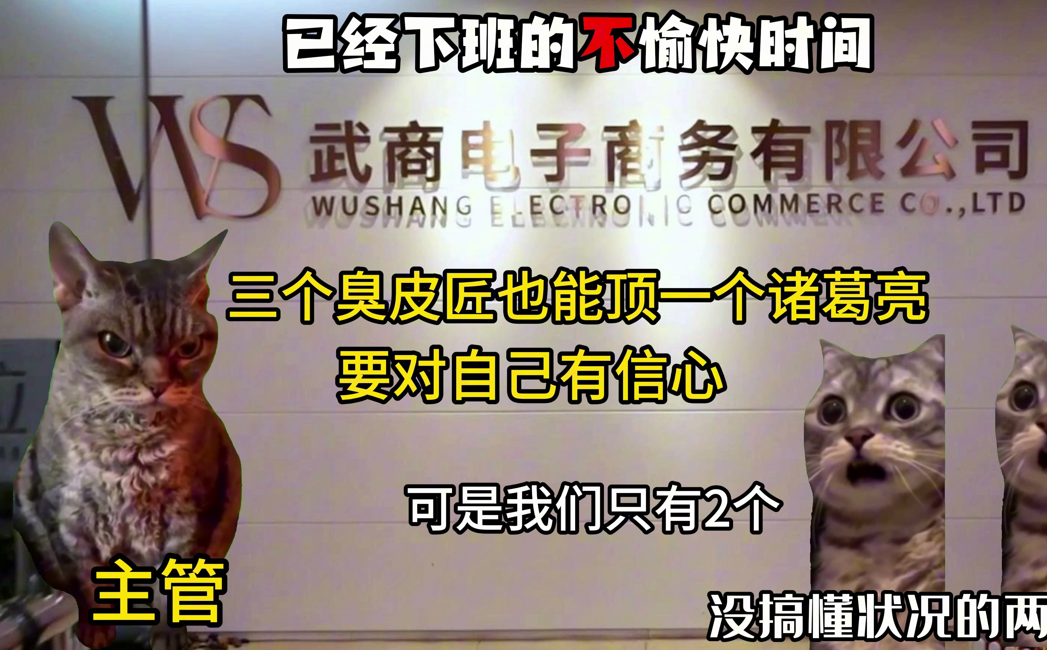 [猫meme]关于实习被训后获得飞黄腾达机会的故事(工作日常篇2)哔哩哔哩bilibili