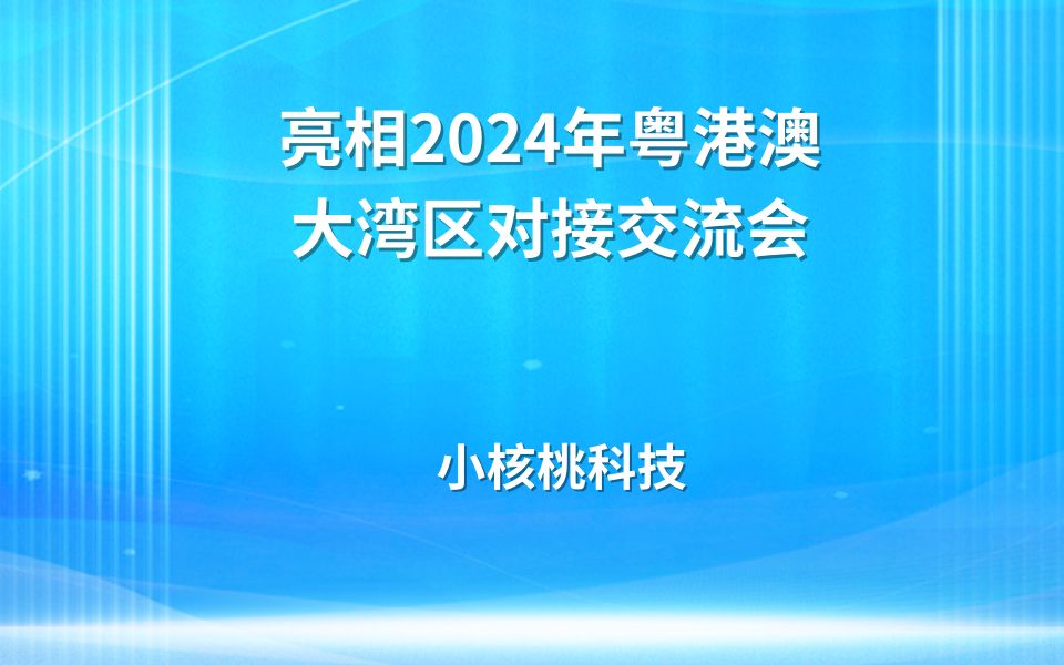 小核桃科技亮相2024年粤港澳大湾区对接交流会哔哩哔哩bilibili