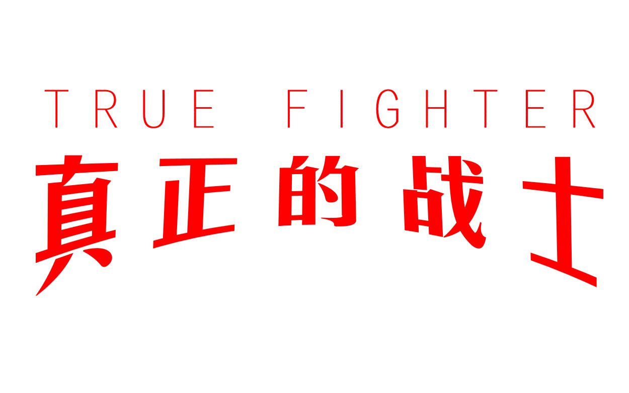 [图]【音乐】True Fighter真正的战士