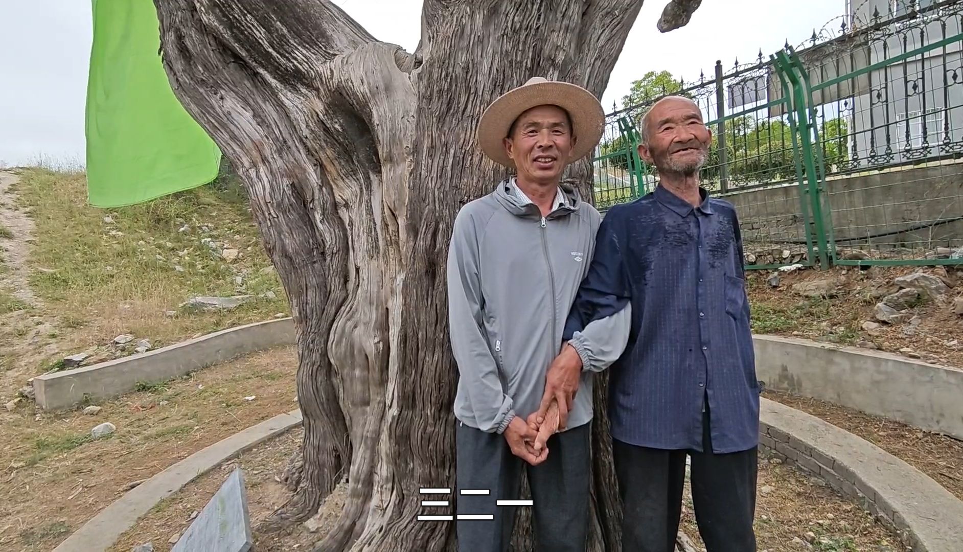 在丰山脚下发现一棵千年古柏,前有小庙,后有南水北调哔哩哔哩bilibili