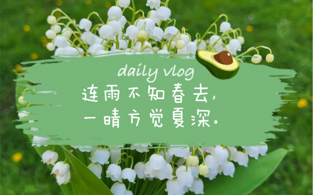 连雨不知春去,一晴方觉夏深.