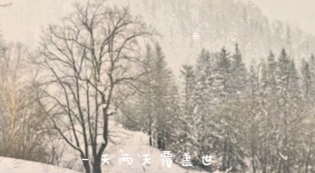 山林松树雪景哔哩哔哩bilibili