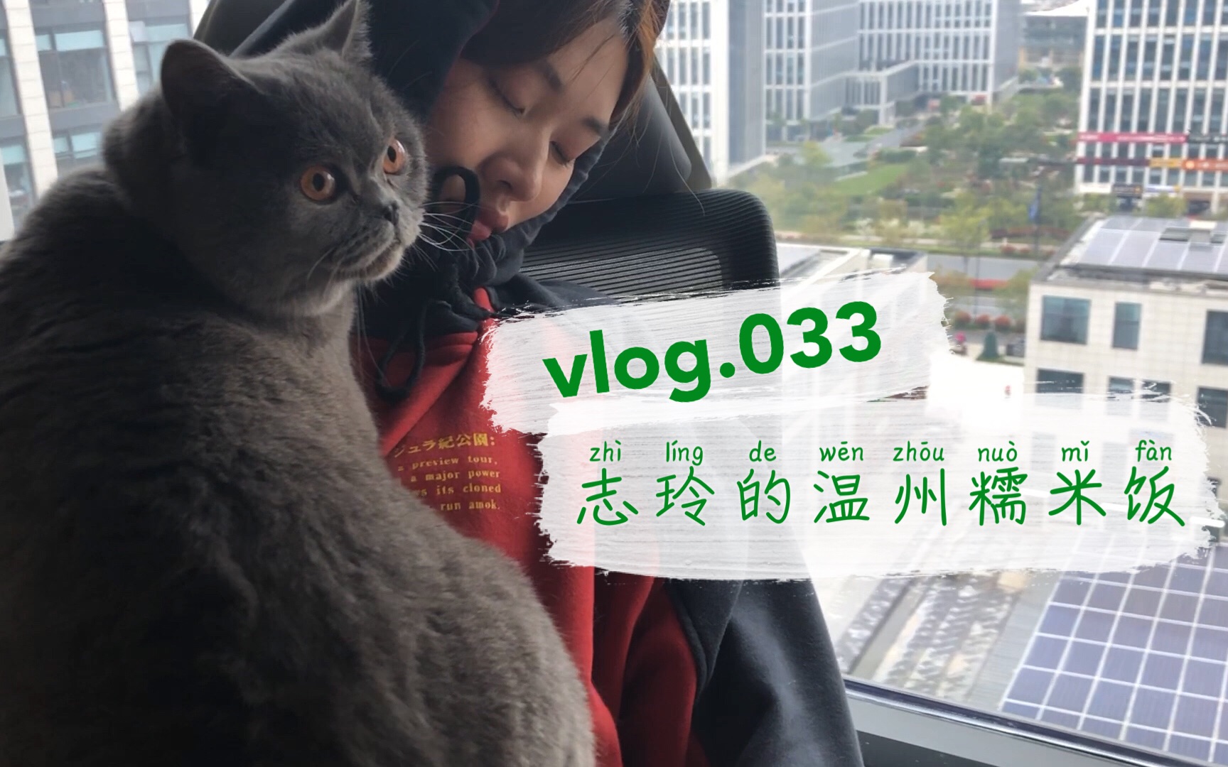 【vlog.033 志玲的温州糯米饭】林志玲做的温州糯米饭世界第一好吃!辛巴是我们公司最胖的猫!!无反驳~哔哩哔哩bilibili