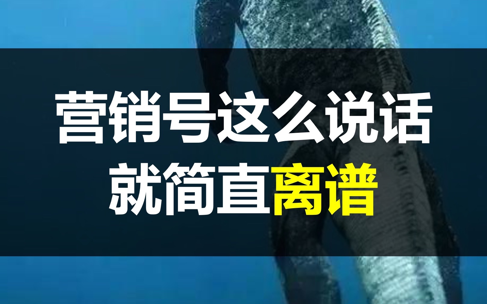 论想象力,谁也比不上营销号!分享大家艾特我的神奇生物哔哩哔哩bilibili