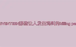 Download Video: 【SEVENTEEN】一人一个killing part就是十三个killing part 一人一首歌就是十三首歌（安利向）