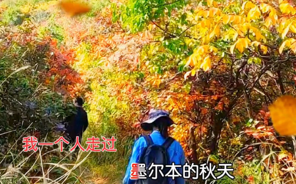 [图]圭峰山秋日浪漫秋入云山堪童话。（这首歌好魔性）#一起来拍秋天 #只属于秋季的浪漫 #西安赏秋 #一起享受大自然的美 #满山遍野映山红