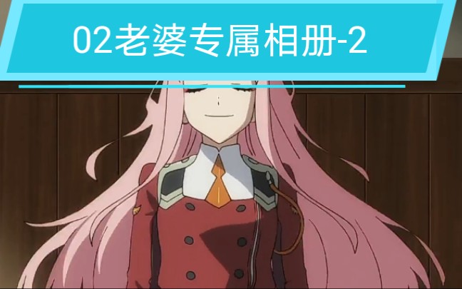 darlinginthefranxx国家队02国家队02专属相册2