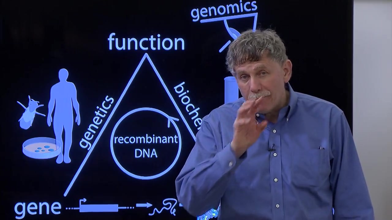 [图]（全集/外挂英字）MIT生物课程Biology The Secret of Life生命的秘密（第三部分基因组&疾病，共三部分）（完结）