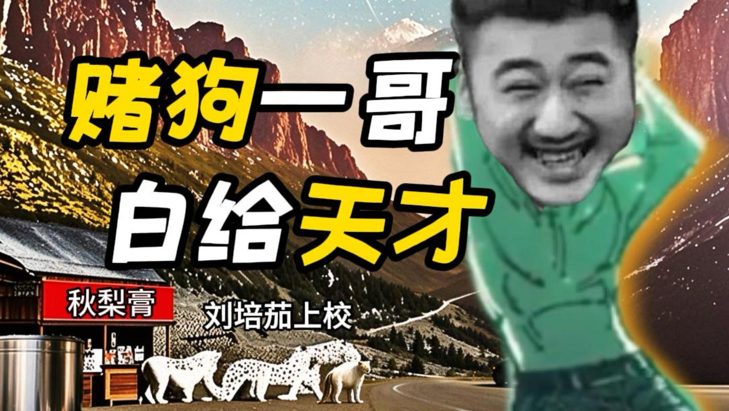 ［茄子］赌狗CS一哥！从白给天才到百万老赖的魔化人生！