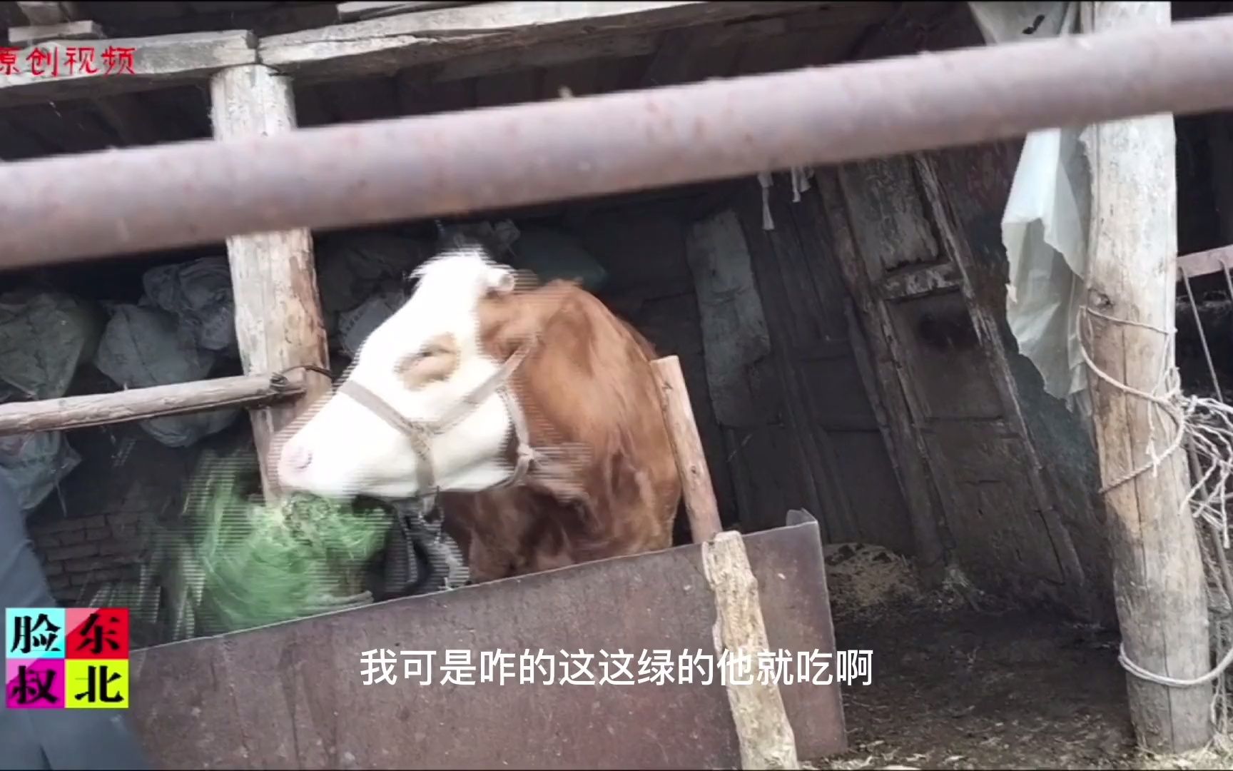 [图]野地里大聚餐，站大岗打零工农民游花逛景，又挣钱的日子