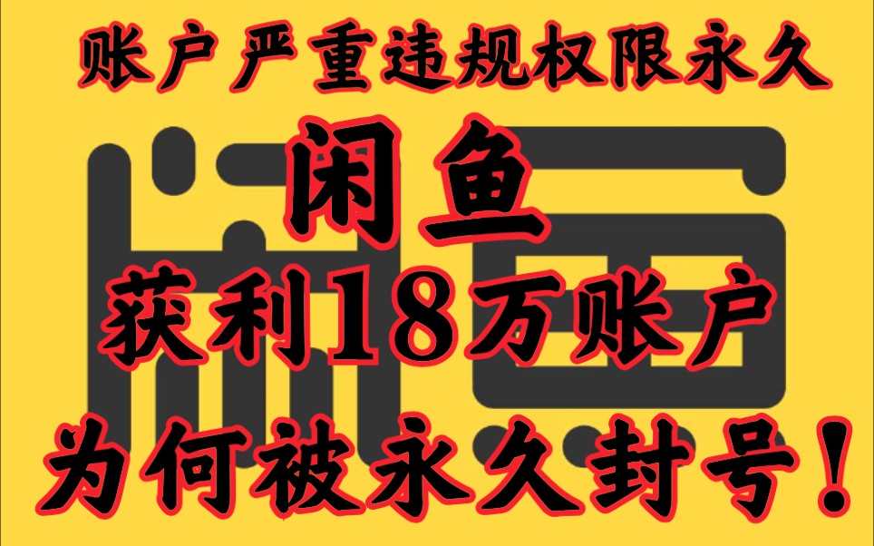 闲鱼18万的账号 被永久禁封!闲鱼账号被封如何解封?18万的账号到底都卖了啥?哔哩哔哩bilibili