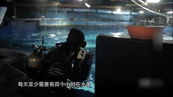 [图]水族馆的小姐姐潜水饲养员开始一天的工作