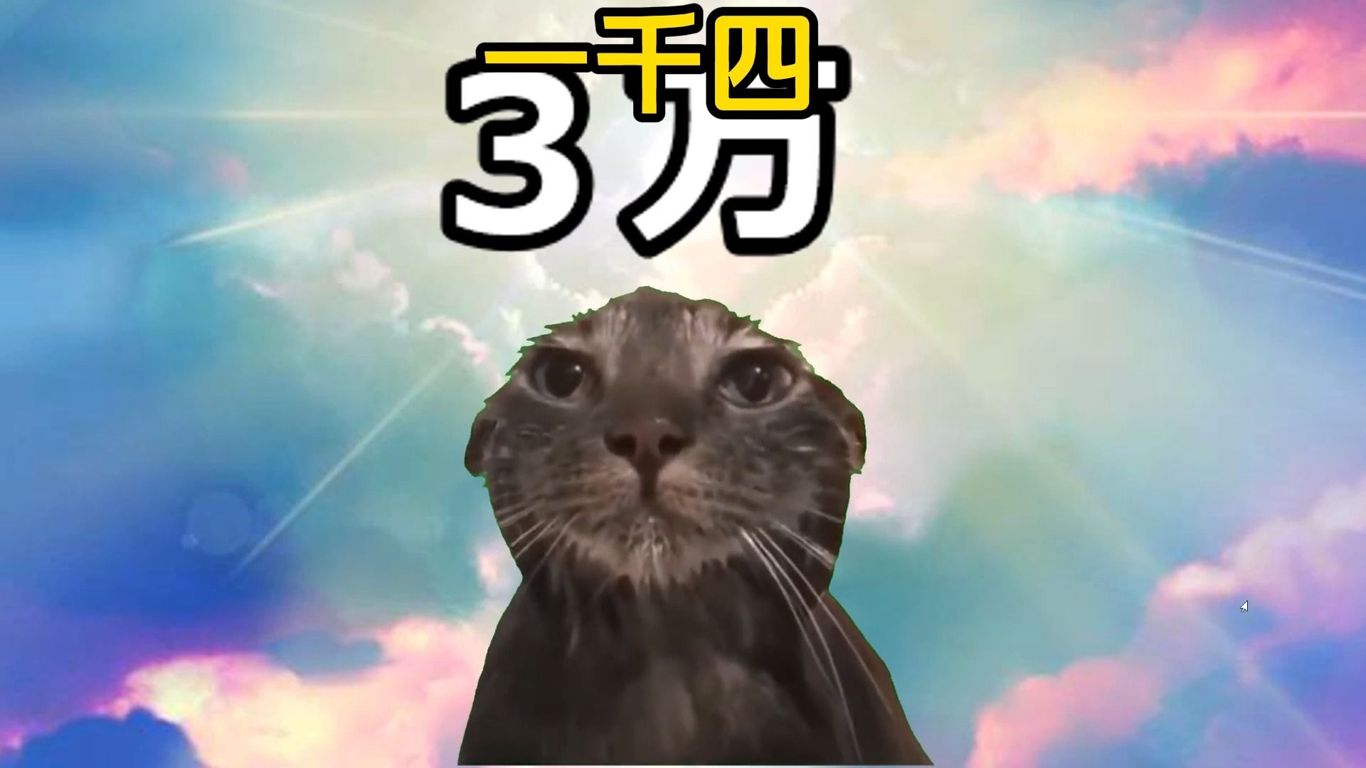 【熟/猫meme】在黑心公司上班精神崩溃了哔哩哔哩bilibili