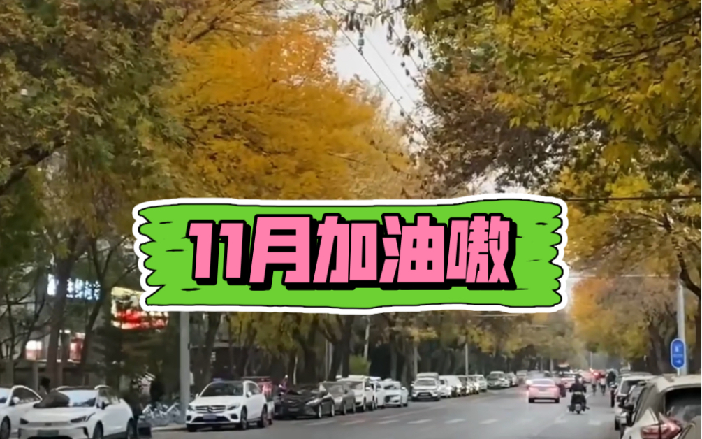 分享艋舺台词 大家11月加油哔哩哔哩bilibili