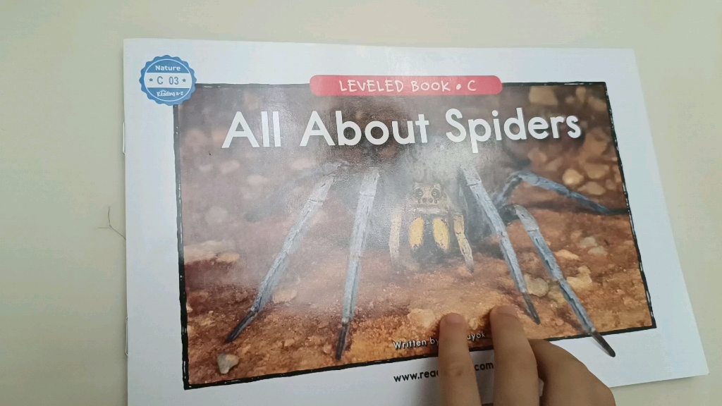 [图]All about spiders