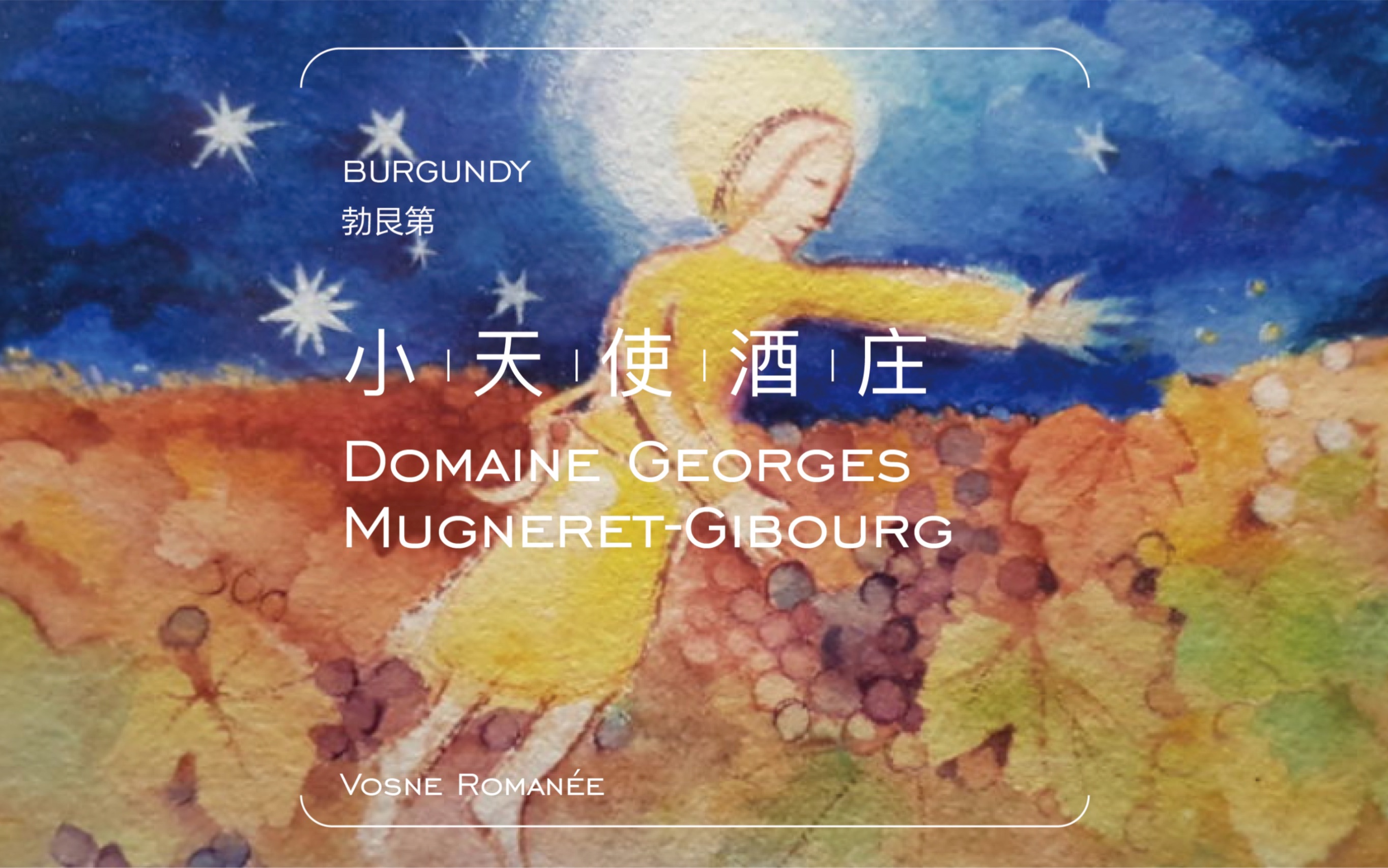 毛毛讲酒|勃艮第风土佳酿|Domaine GeorgesMugneret Gibourg哔哩哔哩bilibili