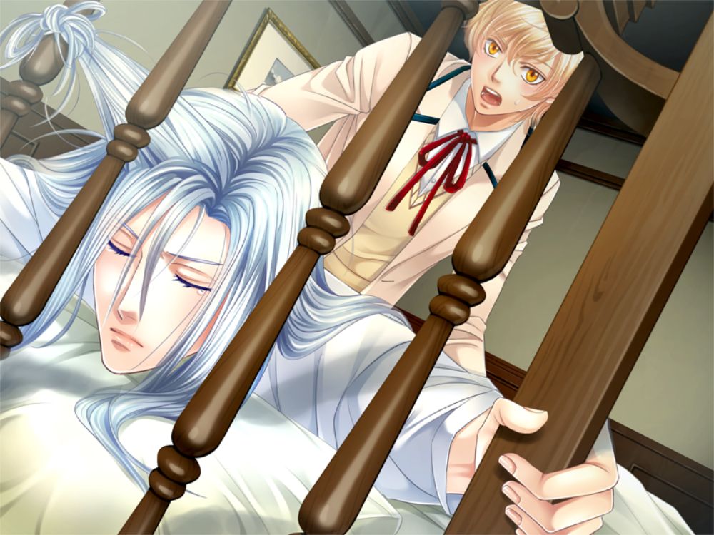 莱奥尼德2 妖精的恶作剧