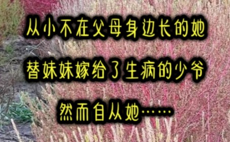 她从小父亲失踪,母亲改嫁,跟着奶奶生活在乡下,逃课打架喝酒样样行,是别人眼中的混混无赖.十九岁,母亲接她回继父家.“白苓”让你替你妹妹嫁给...