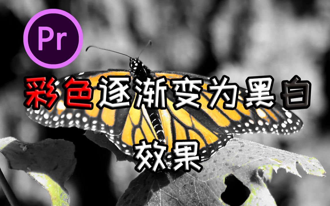 【pr教程】彩色逐渐变为黑白效果一分钟学会!