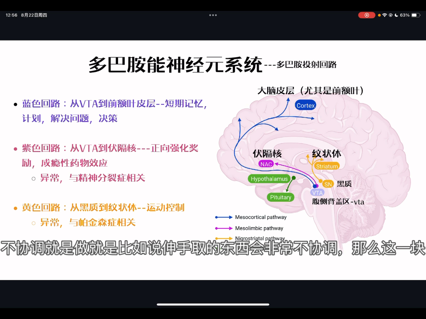 【认知神经科学入门】多巴胺能神经元回路与“欲望分子”哔哩哔哩bilibili