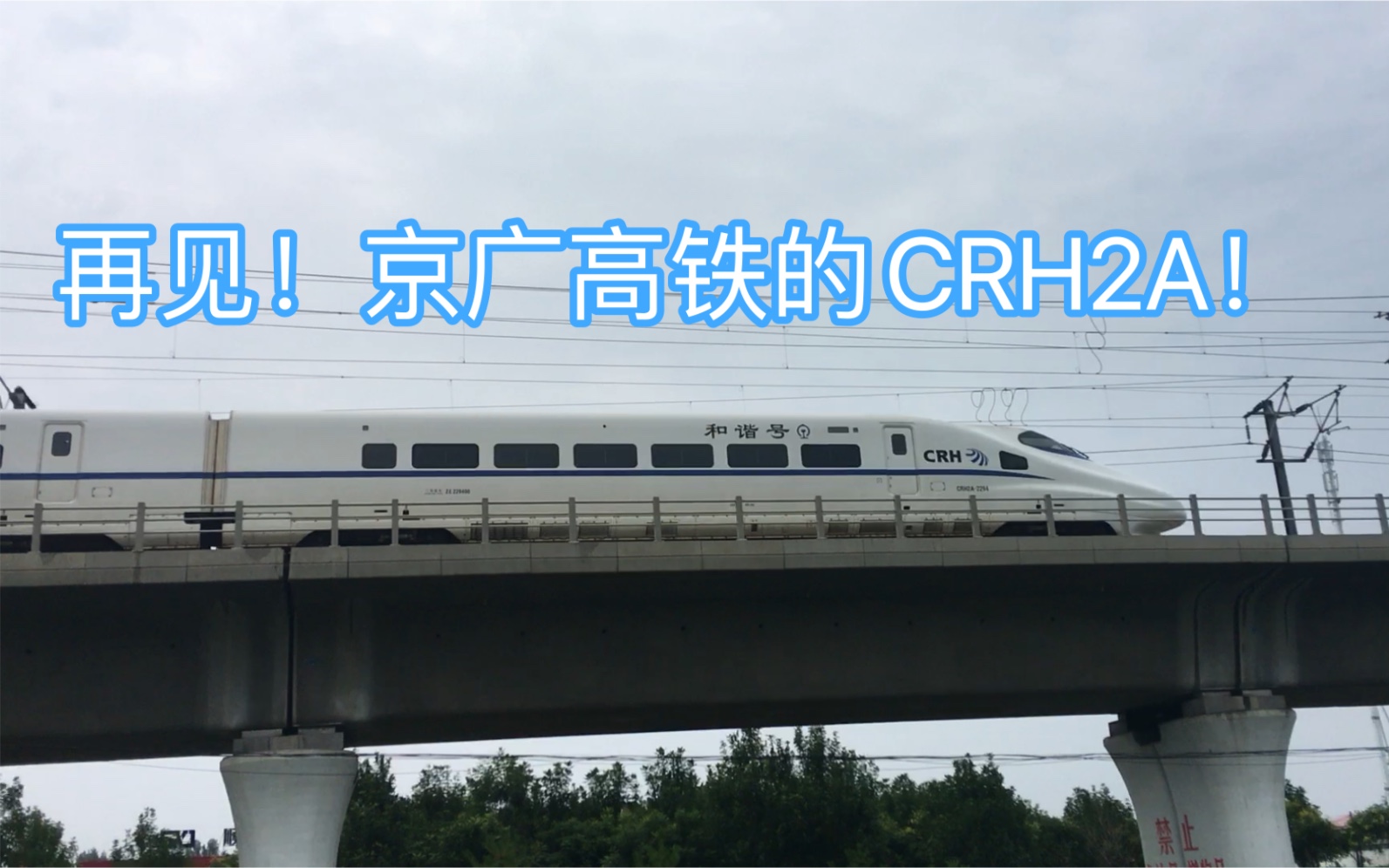 【铁路】京广高铁再也不见的带鱼CRH2A,D2003次保定东站接近哔哩哔哩bilibili