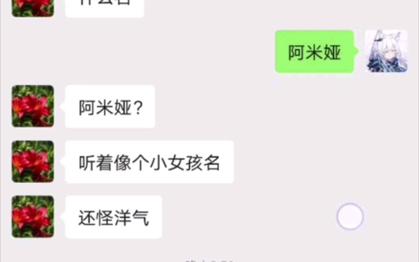 千万不要在亲戚让你给驴起名的时候玩梗哔哩哔哩bilibili