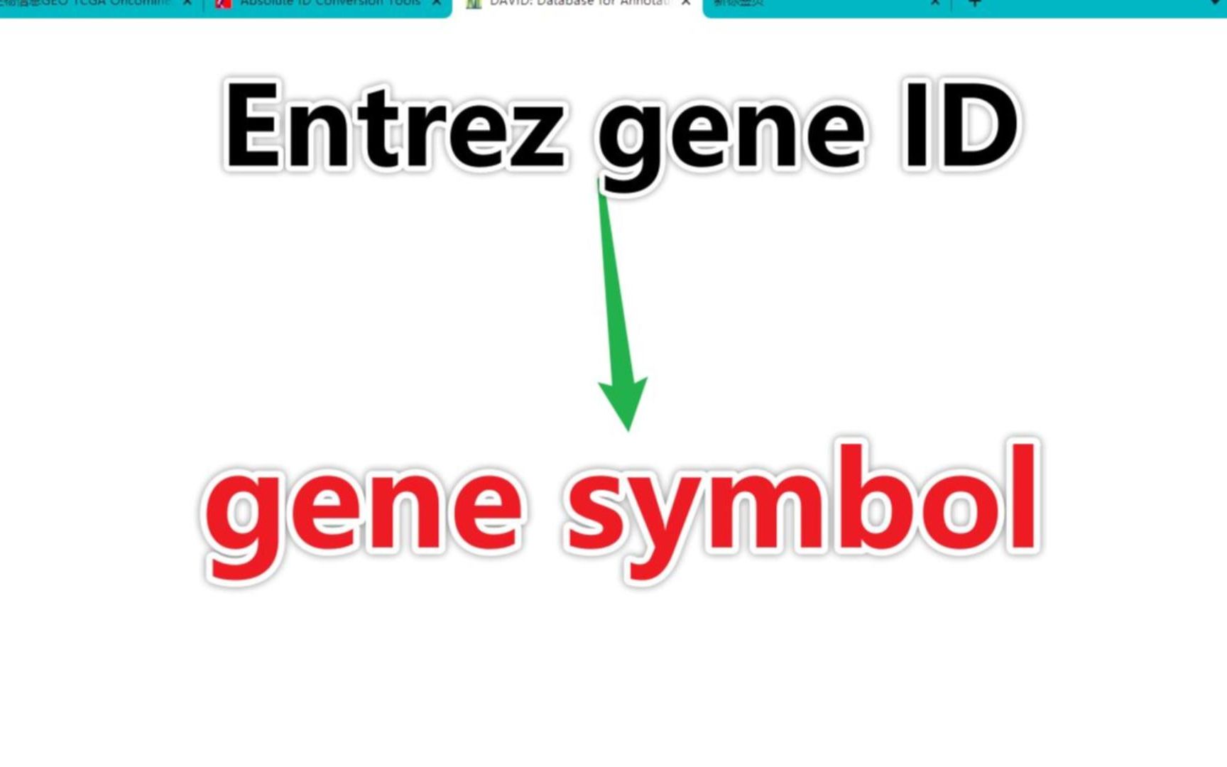 六十四:全网最全基因ID一键转换哔哩哔哩bilibili