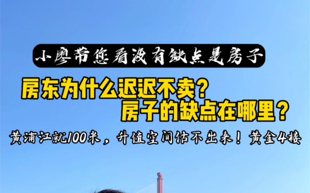 这个房子的“缺点”在哪里?为什么房东一直不愿意卖这套房子,今天来了我算是明白了!黄浦江(滨江绿化)就100的距离!哔哩哔哩bilibili