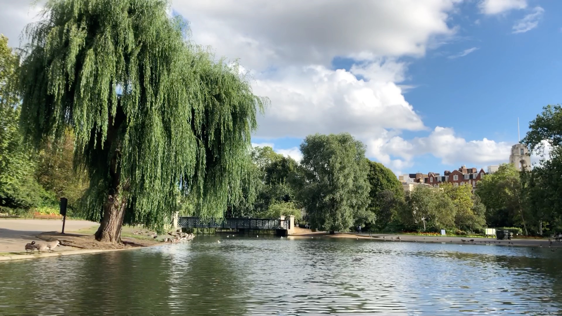 [图]伦敦公园、街头与布莱顿的海滩 Regent’s Park, Bond Street and the Beach of Brighton