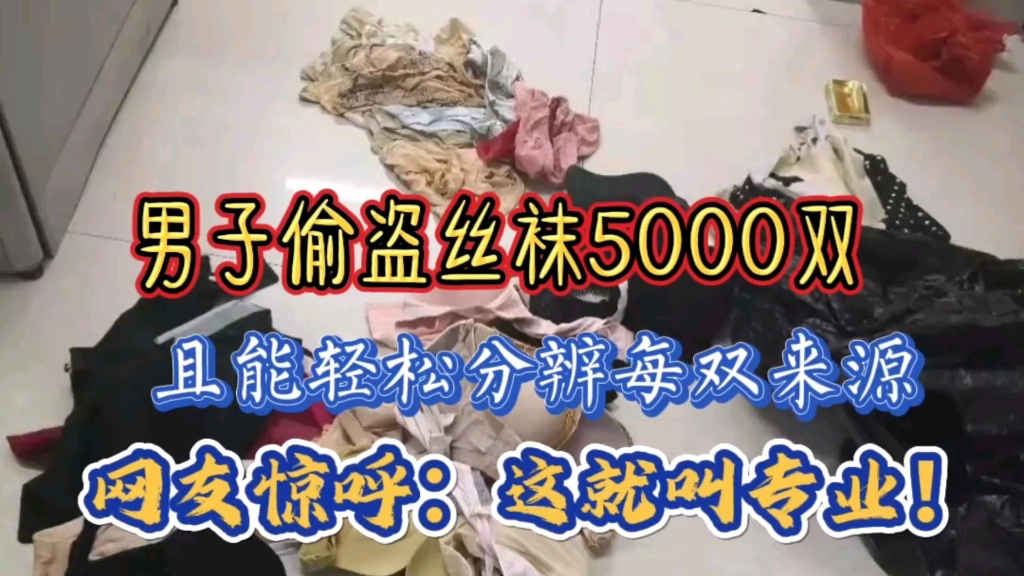 山东德州:他人称“丝袜狂魔”!偷盗丝袜5000双!让警方都惊掉下巴!哔哩哔哩bilibili