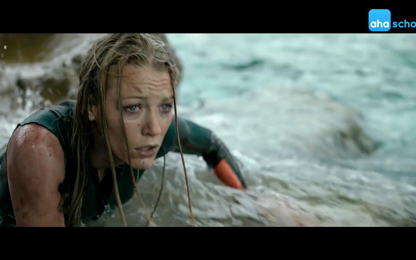 美女与鲨鱼鲨滩