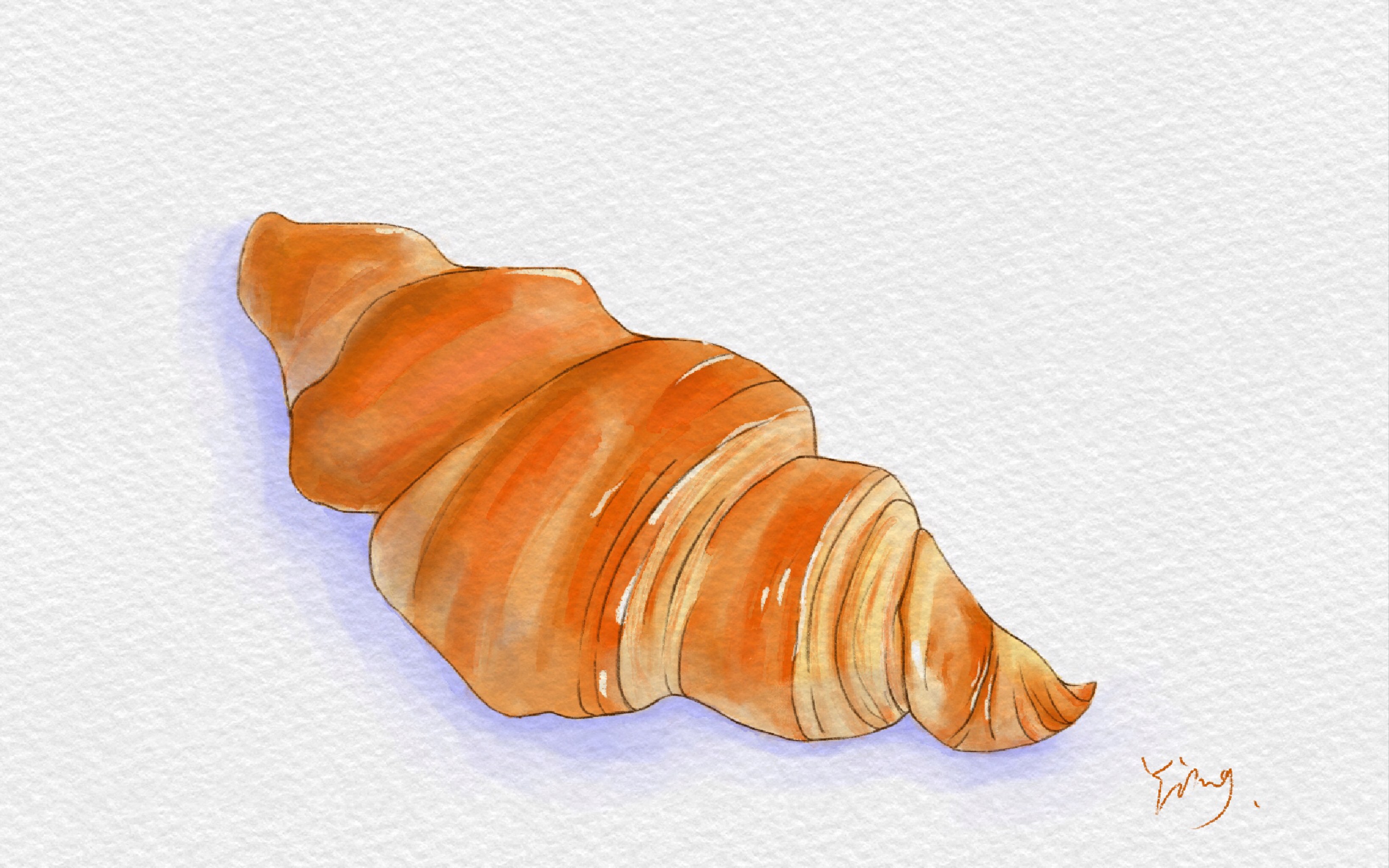 procreate水彩插画临摹l绘画过程l牛角包