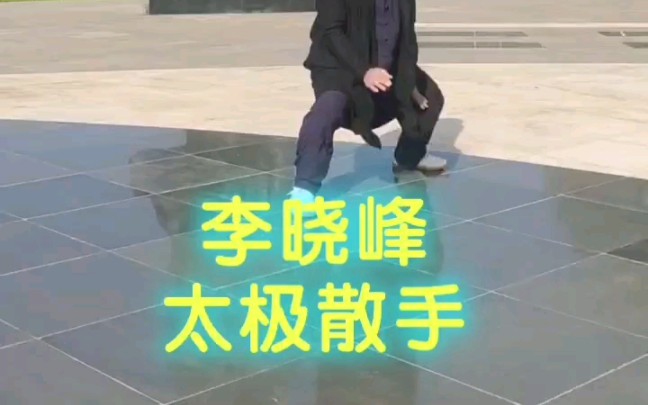 太极散手/李晓峰哔哩哔哩bilibili