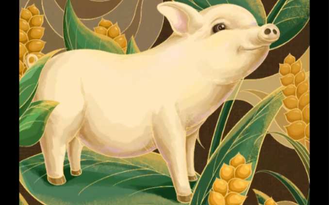 十二生肖插画-猪