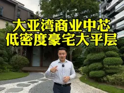 Download Video: 大亚湾商业中芯低密度260豪宅大平